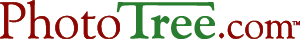 PhotoTree Logo