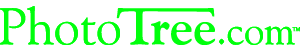 PhotoTree Logo